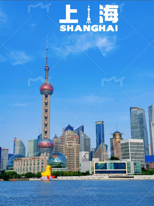 上海航空快递:双枢纽驱动全球物流 打造高效安全国际化新标杆