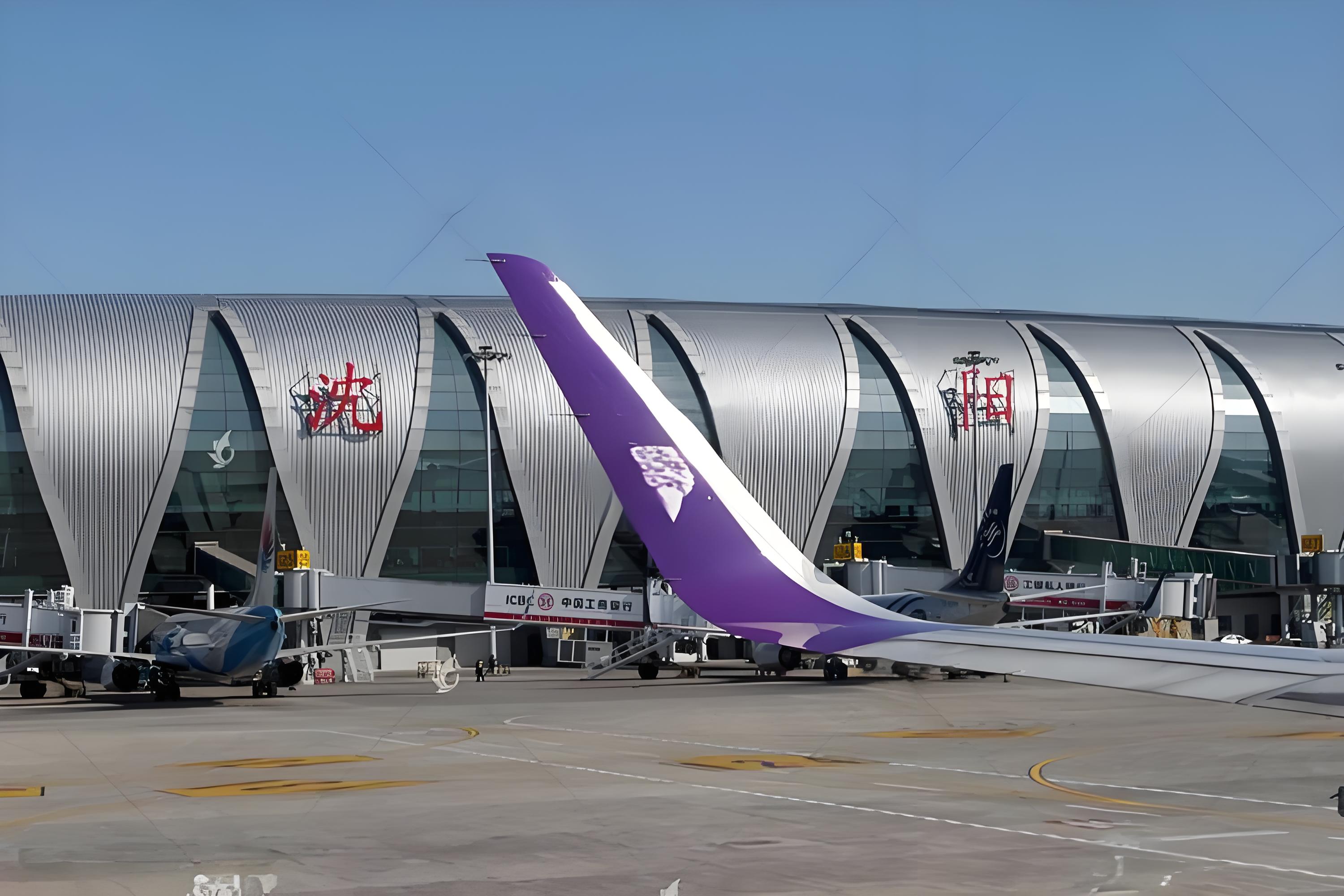 沈阳航空快递：桃仙国际机场的航空快递腾飞之路与展望