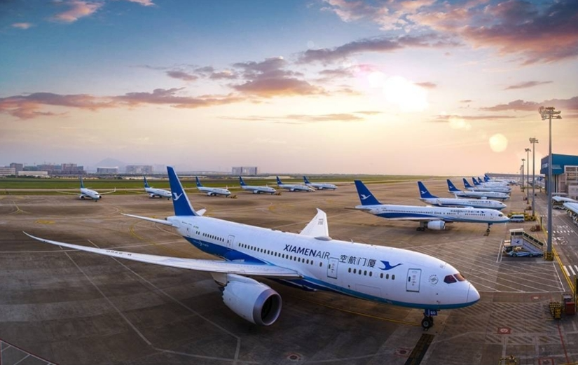 2024年厦门航空春运计划执行航班超2.37万班
